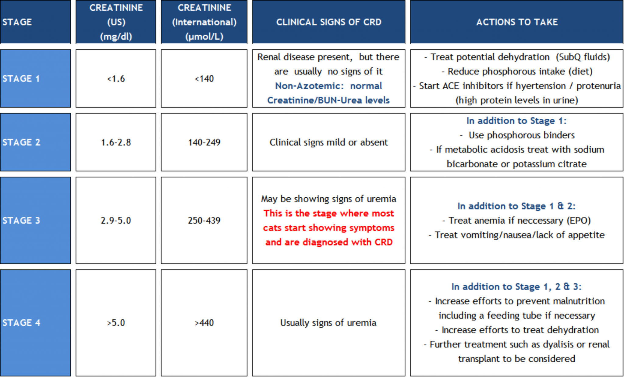 chronic-renal-disease-crd