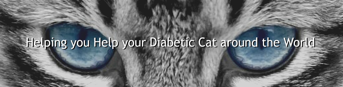 Feline Diabetes